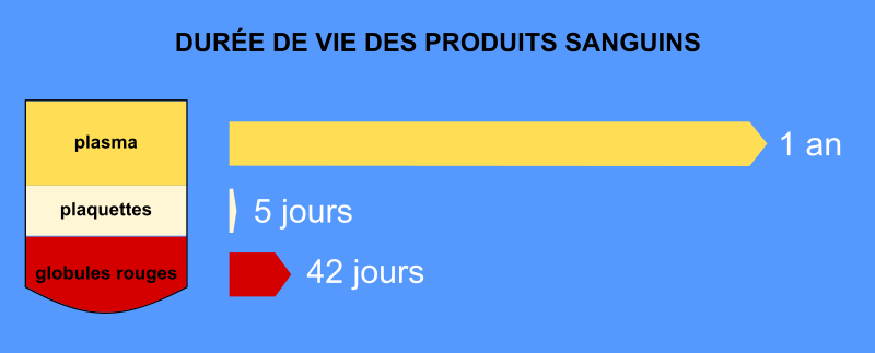 duree vie produits sanguins 2